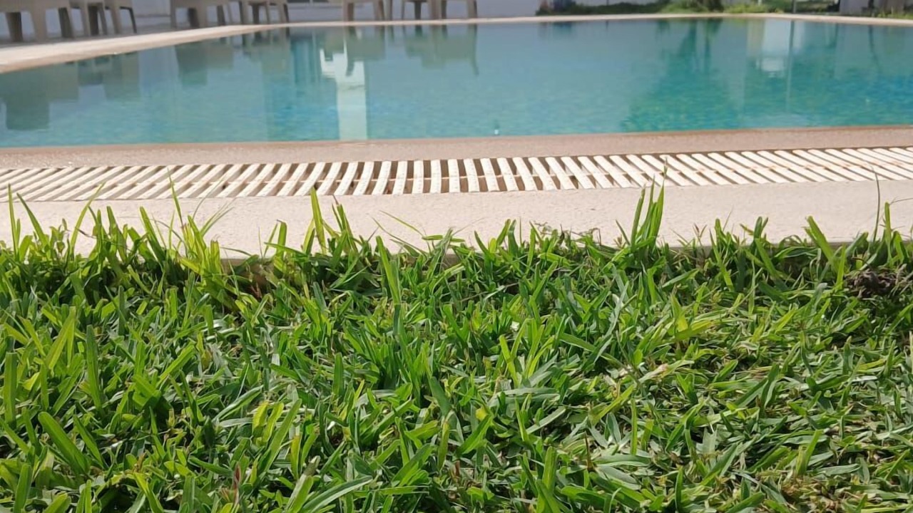 Photo of Outdoor in Bir Bou Rekba