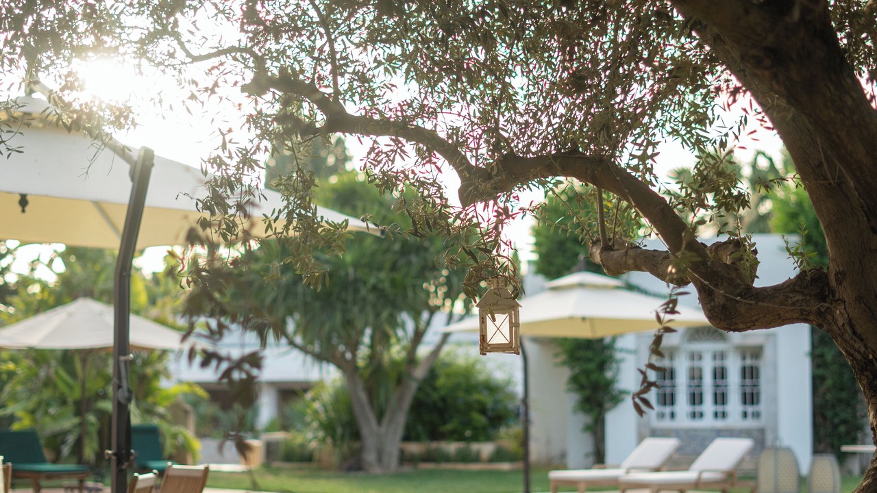 Photo of Outdoor in La Marsa