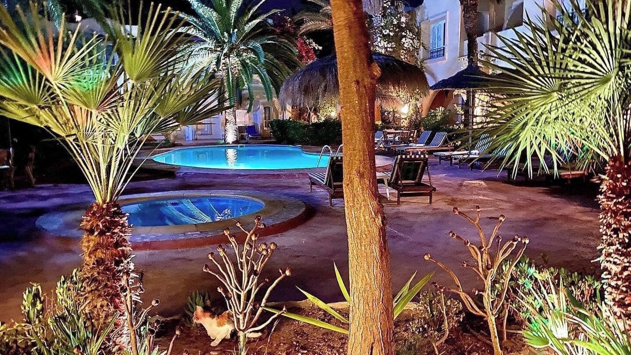 Photo of Outdoor in Hammamet Sud