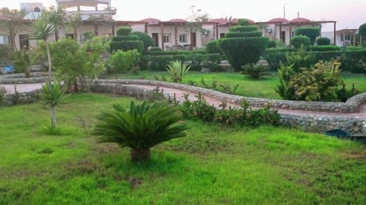 Photo of Outdoor in El Quseir