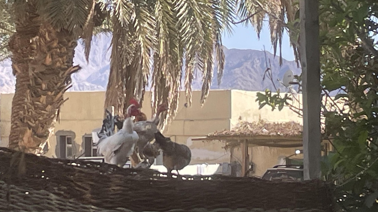 Photo of Outdoor in St. Catherine