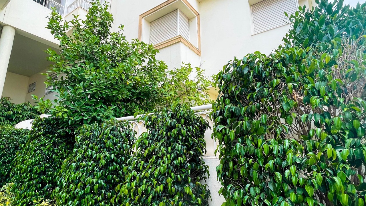 Photo of Outdoor in Ain Zaghouan