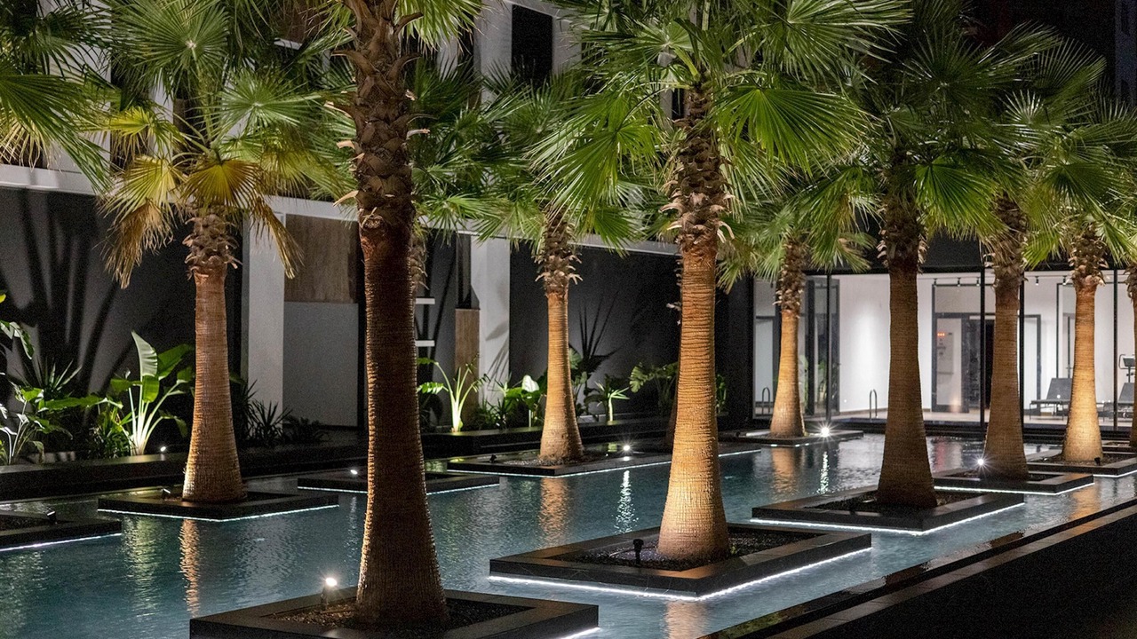 Photo of Outdoor in Halq al Wadi