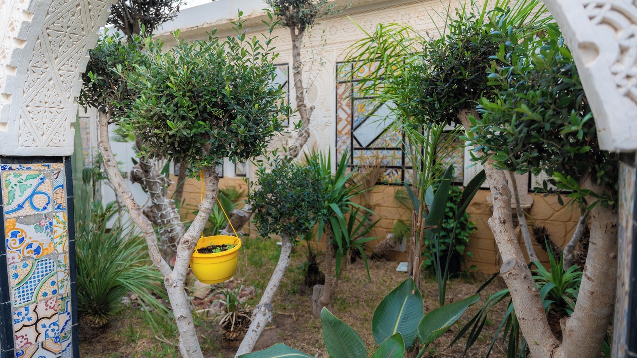 Photo of Outdoor in Soliman