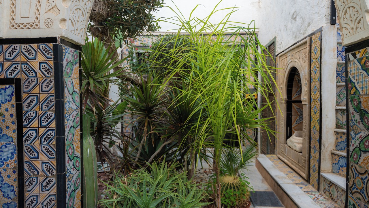 Photo of Outdoor in Soliman