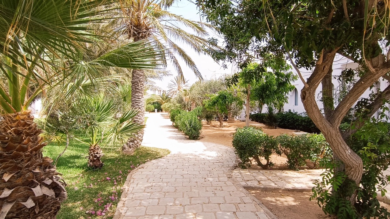 Photo of Outdoor in Arkou