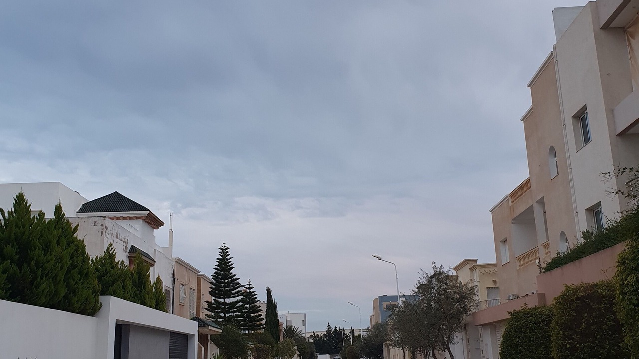 Photo of Others in Yasmine