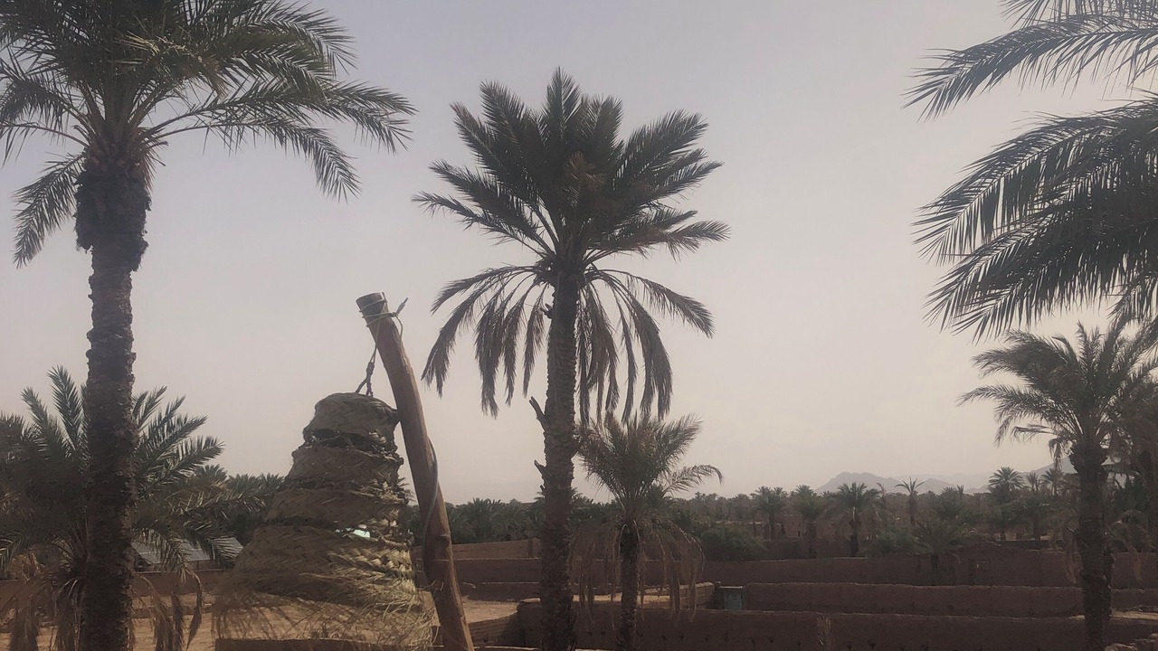 Photo of Patio Balcony in Zagora