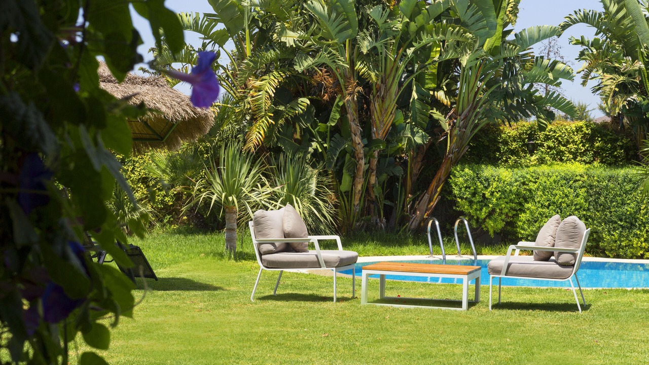 Photo of Outdoor in Mateur