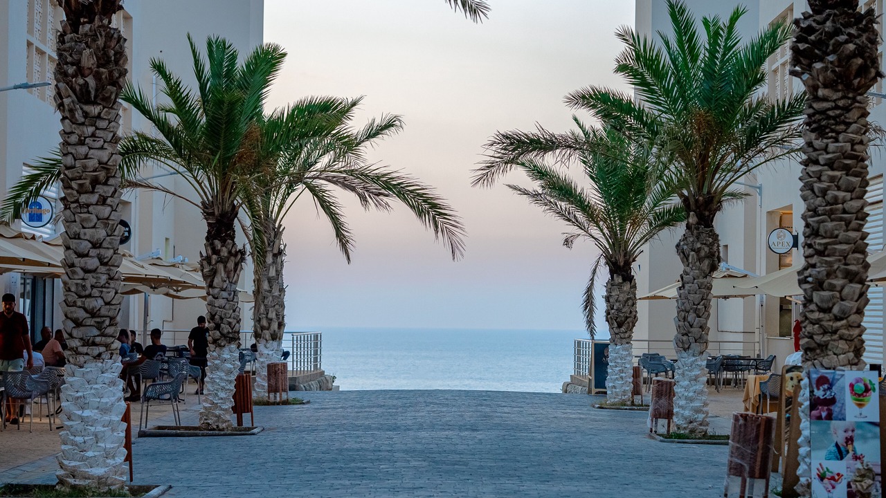Photo of Buildings in Skikda