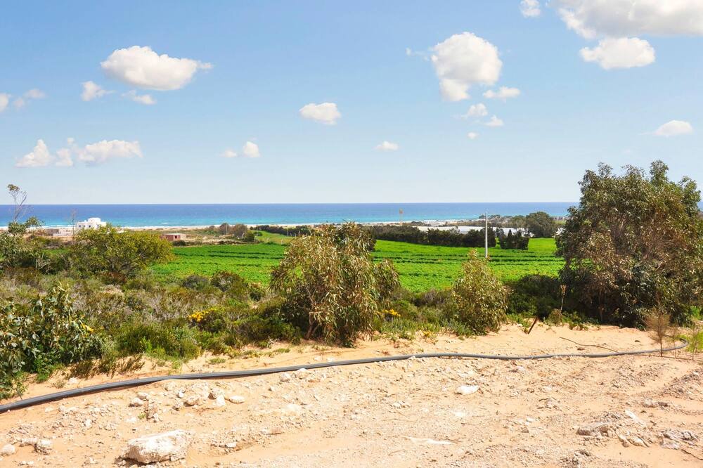 Photo of Others in Kelibia