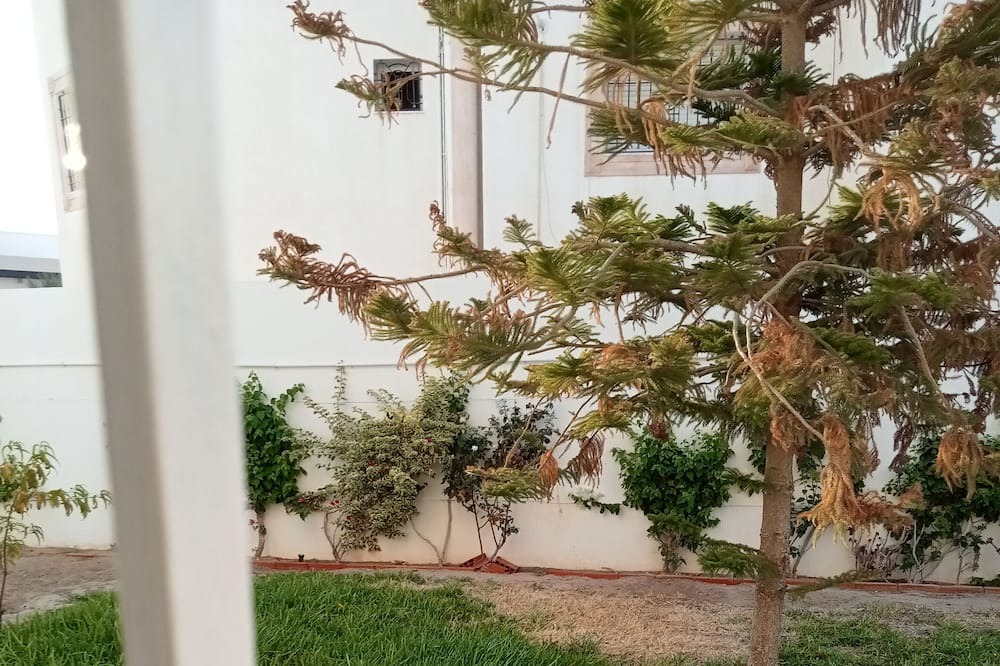 Photo of Outdoor in Kairouan