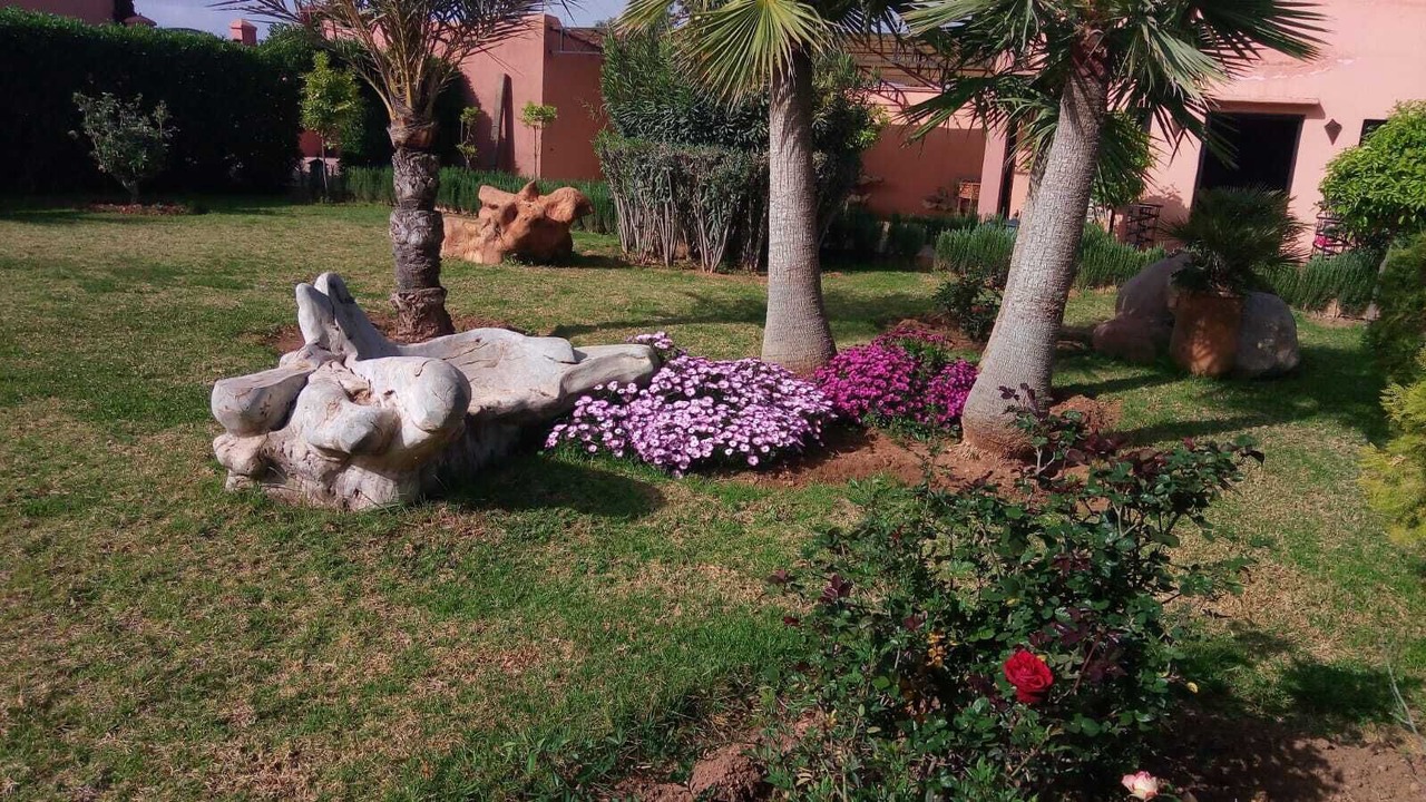 Photo of Outdoor in El Aggada