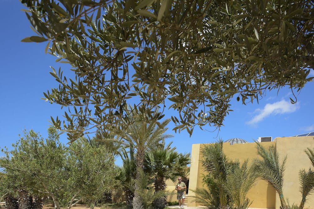 Photo of Outdoor in Mellita