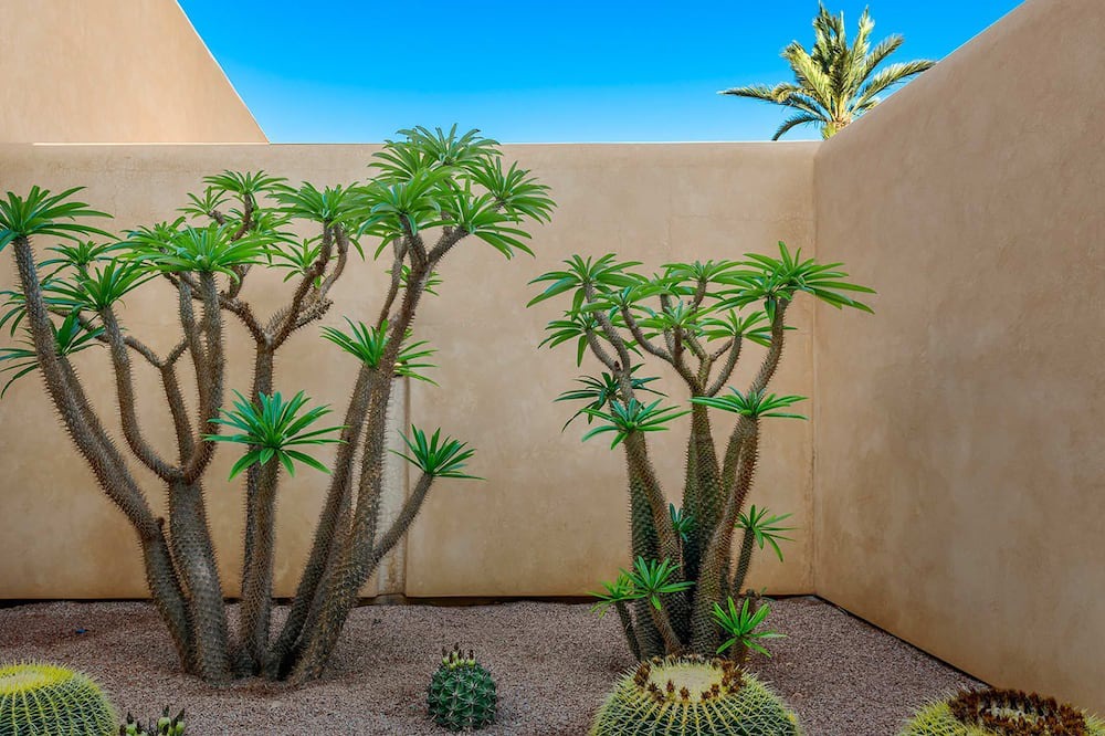 Photo of Outdoor in Marrakech