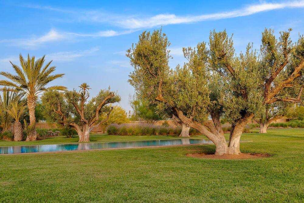 Photo of Outdoor in Marrakech
