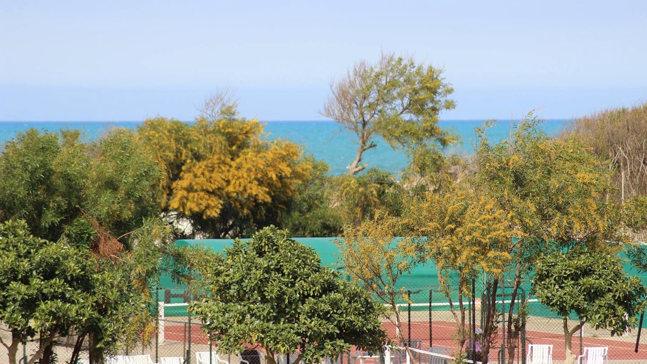 Photo of Others in Gammarth