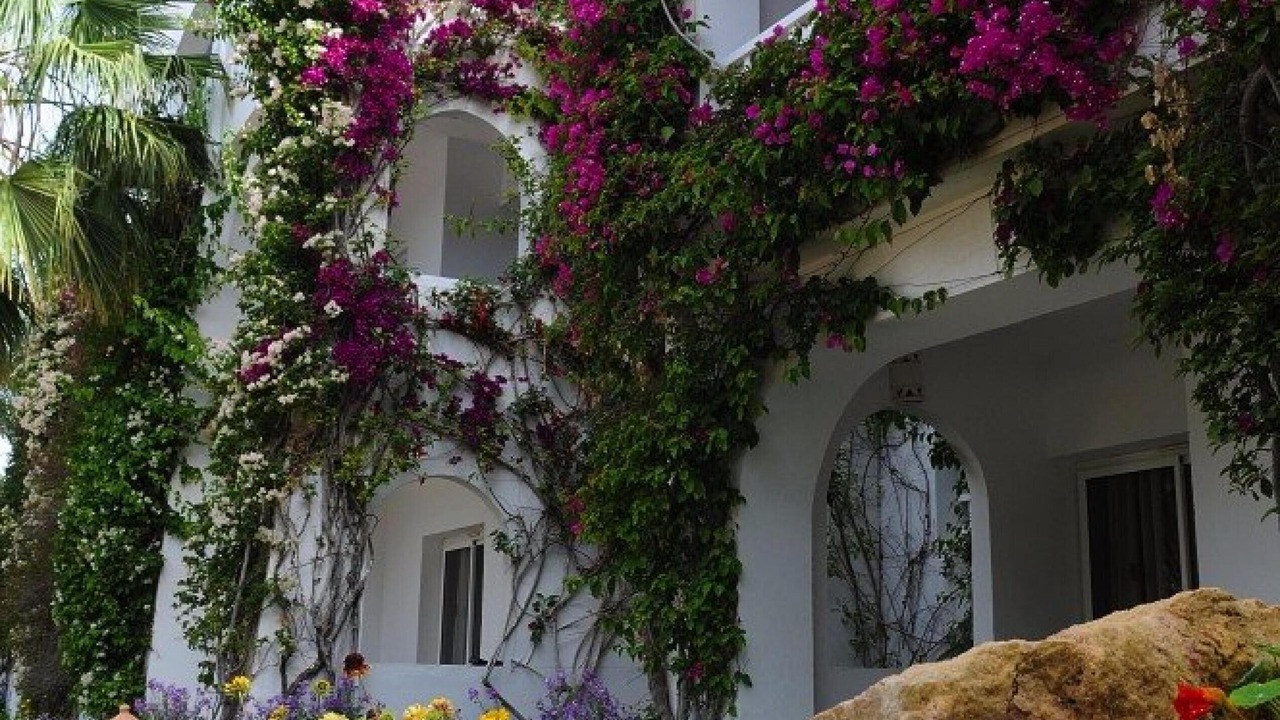 Photo of Outdoor in Triffa
