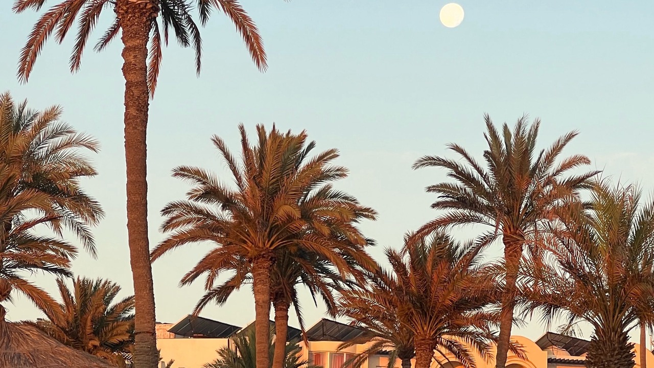 Photo of Outdoor in Zarzis