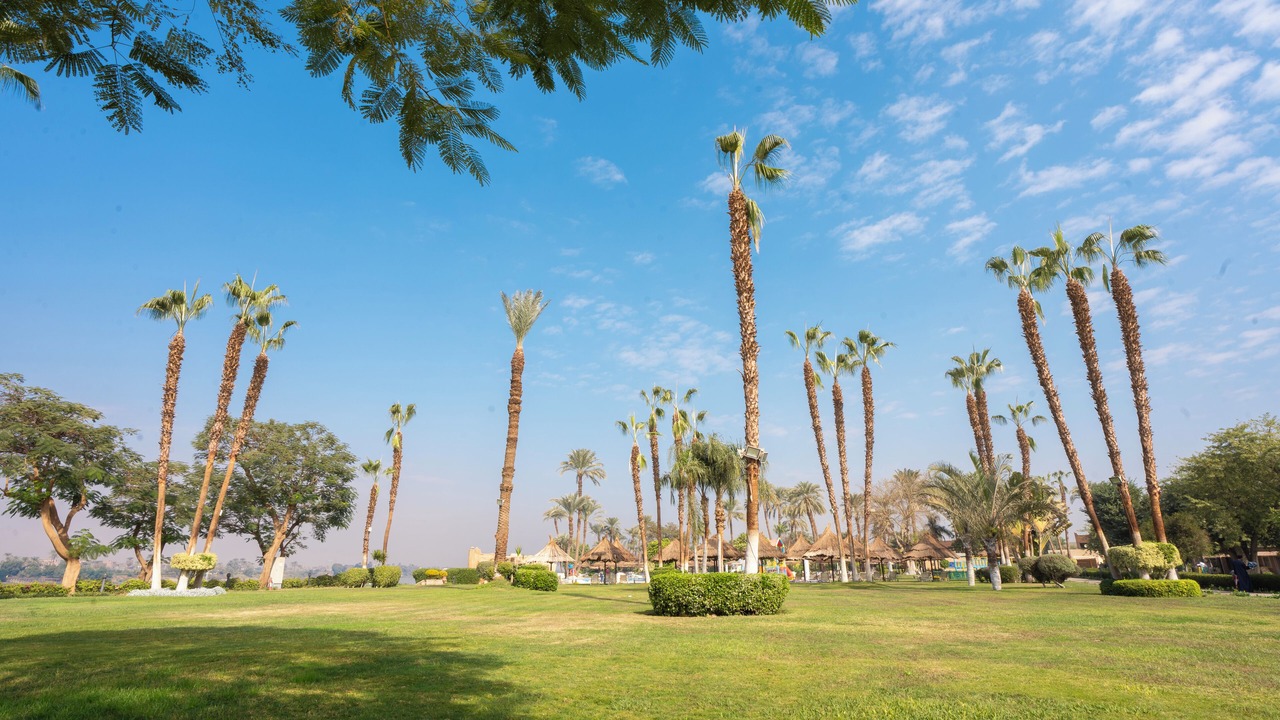 Photo of Outdoor in Nile River Luxor