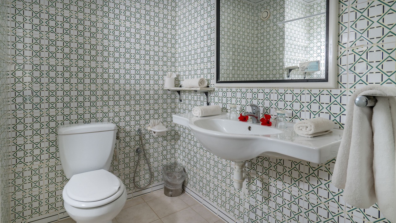 Photo of Bathroom in Mrezga
