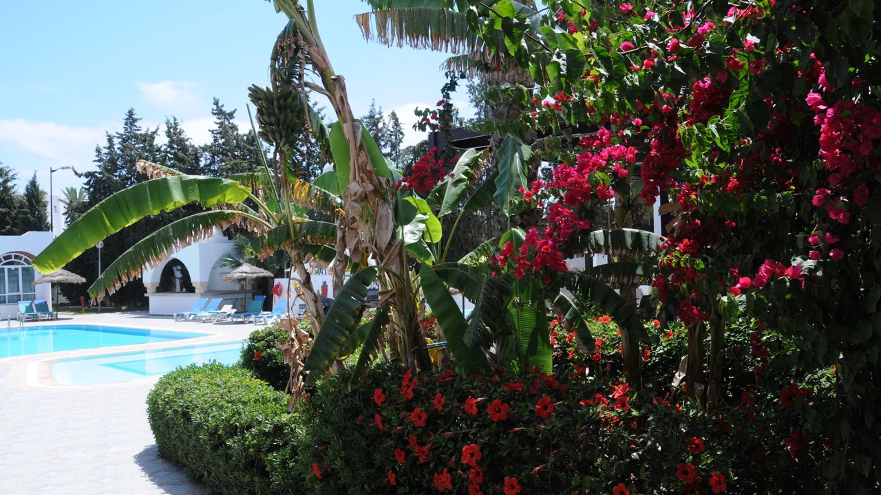Photo of Outdoor in Hammamet