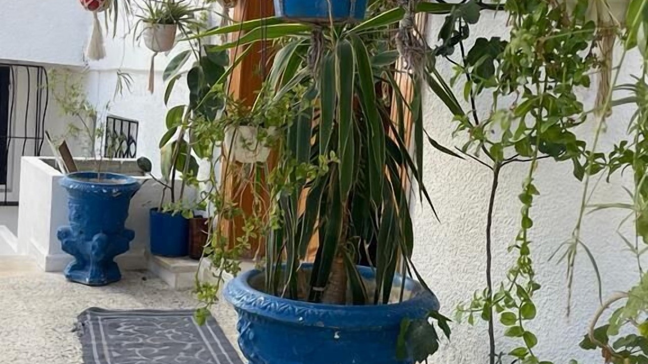Photo of Outdoor in Le Kef