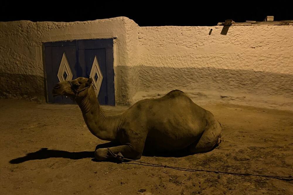 Photo of Others in Essaouira