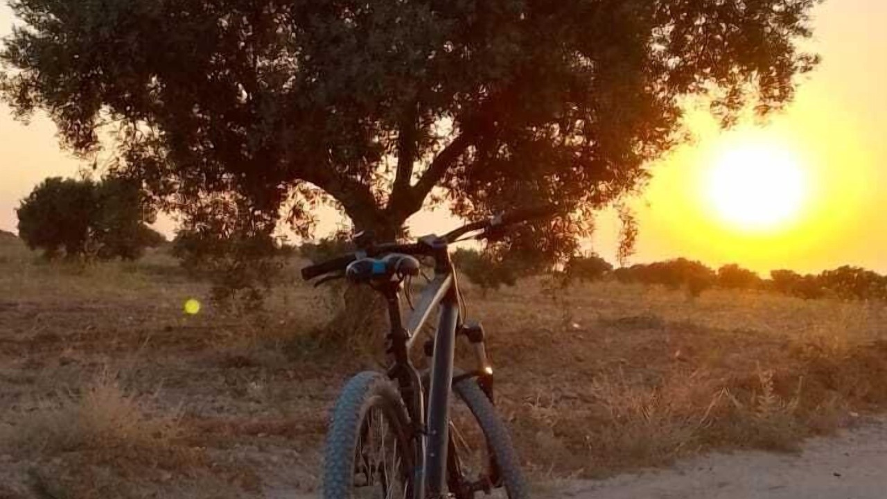 Photo of Outdoor in Agareb