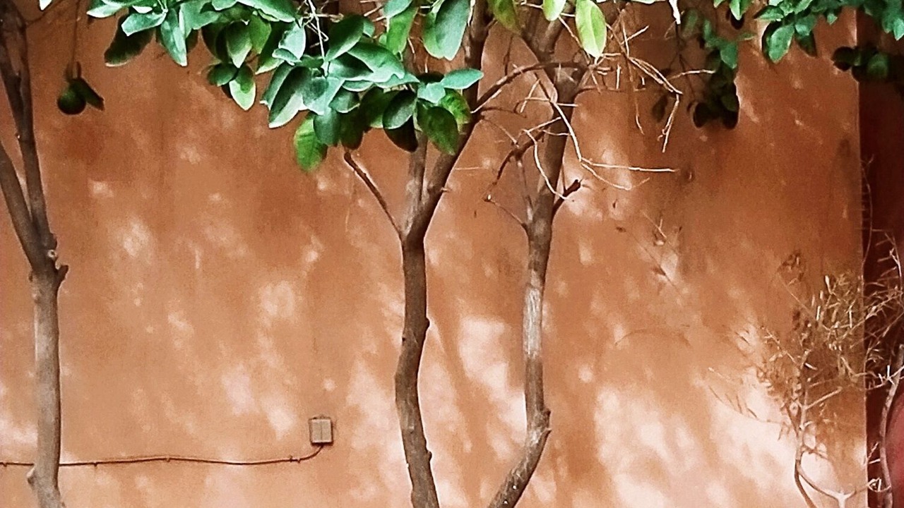 Photo of Patio Balcony in Menara