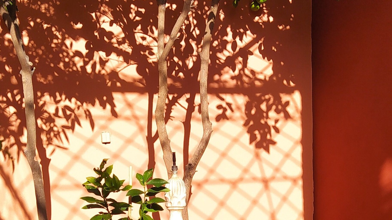 Photo of Outdoor in Menara