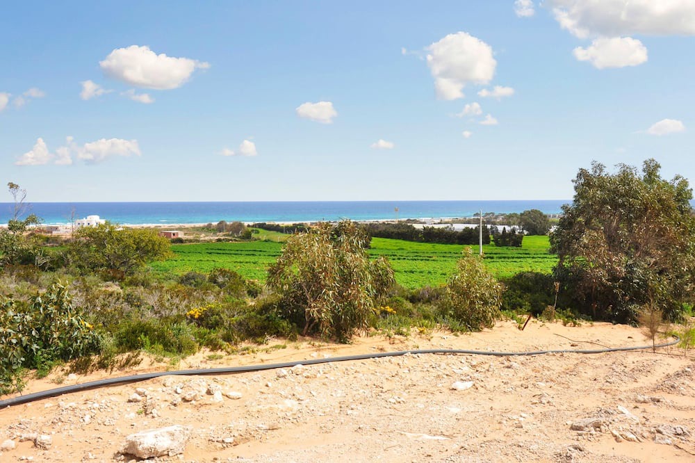 Photo of Others in Kelibia