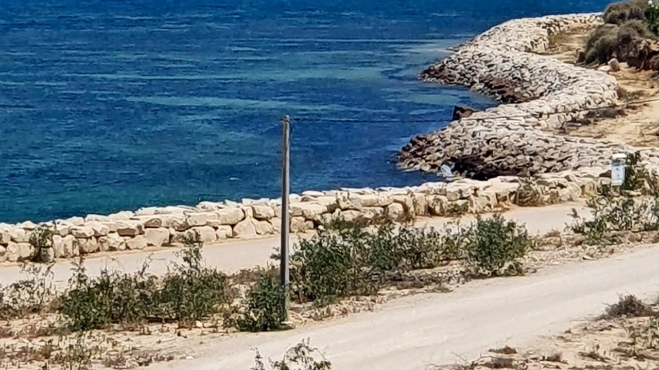 Photo of Others in Hergla