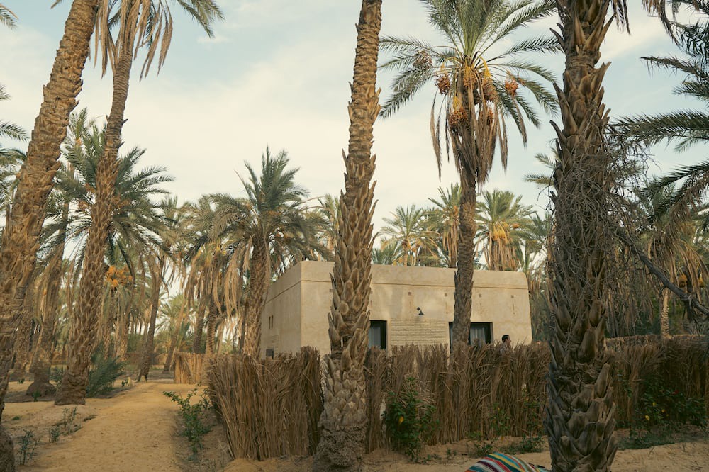 Photo of Outdoor in Tozeur