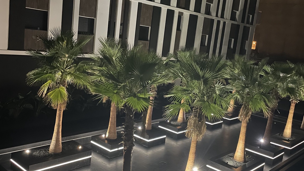 Photo of Outdoor in Ville Nouvelle