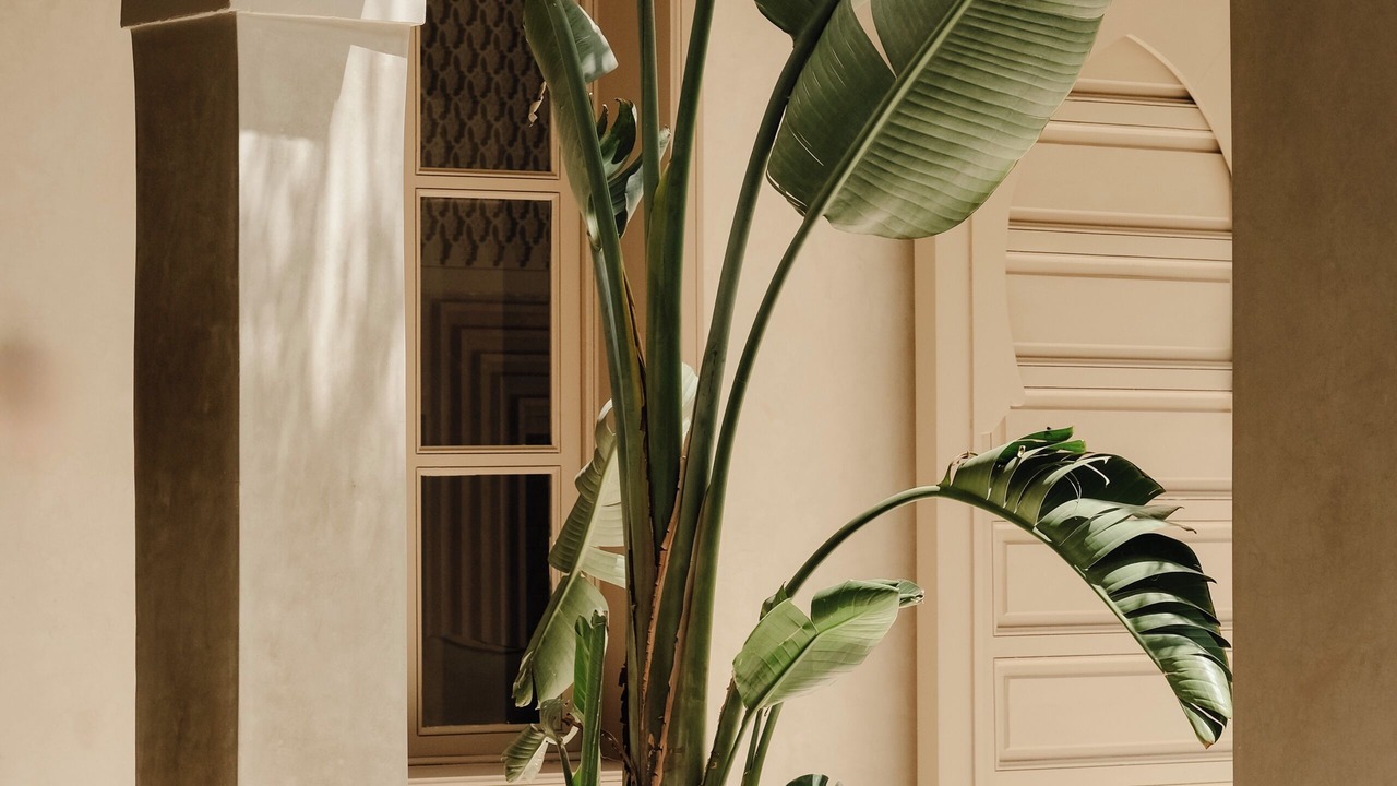 Photo of Outdoor in Riad Zitoun Jdid