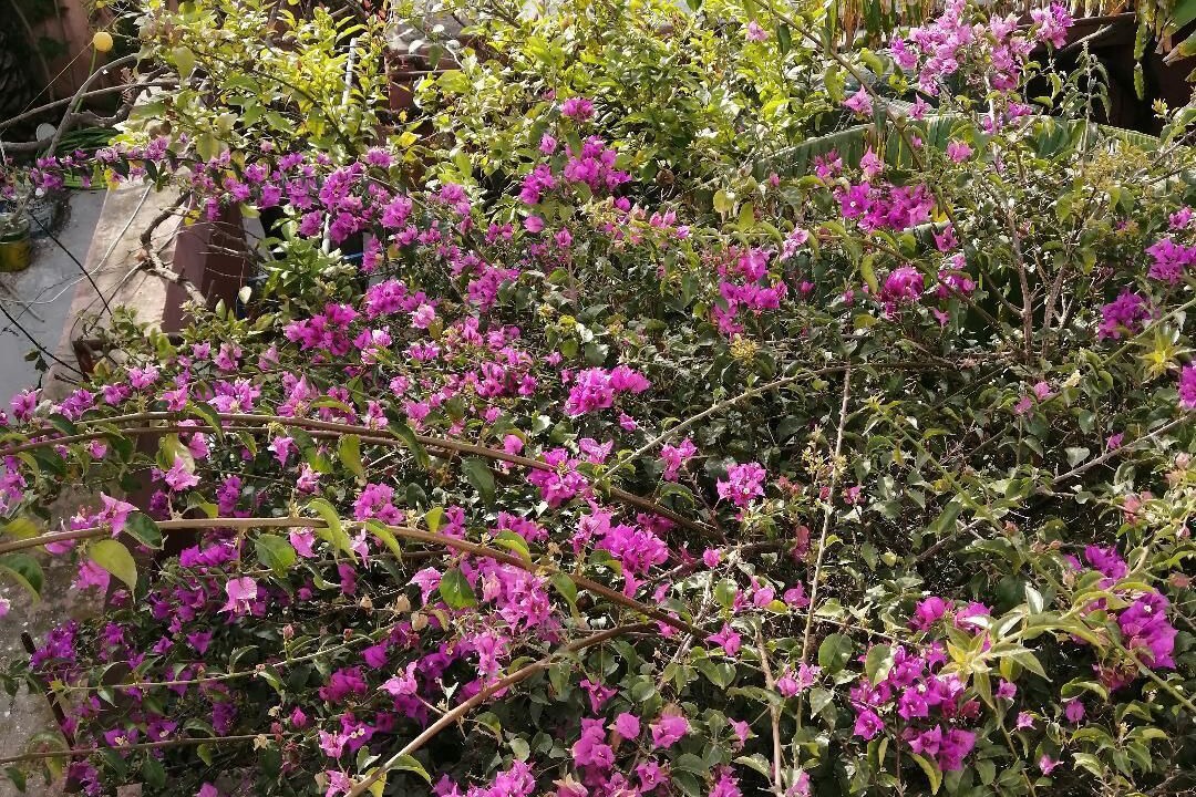 Photo of Outdoor in La Soukra