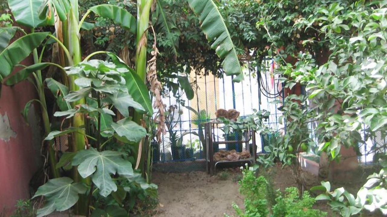 Photo of Outdoor in La Soukra