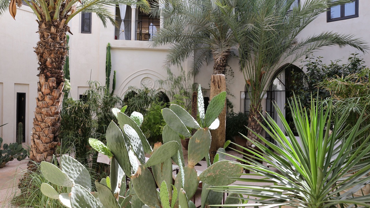Photo of Outdoor in Sidi Bou Amar
