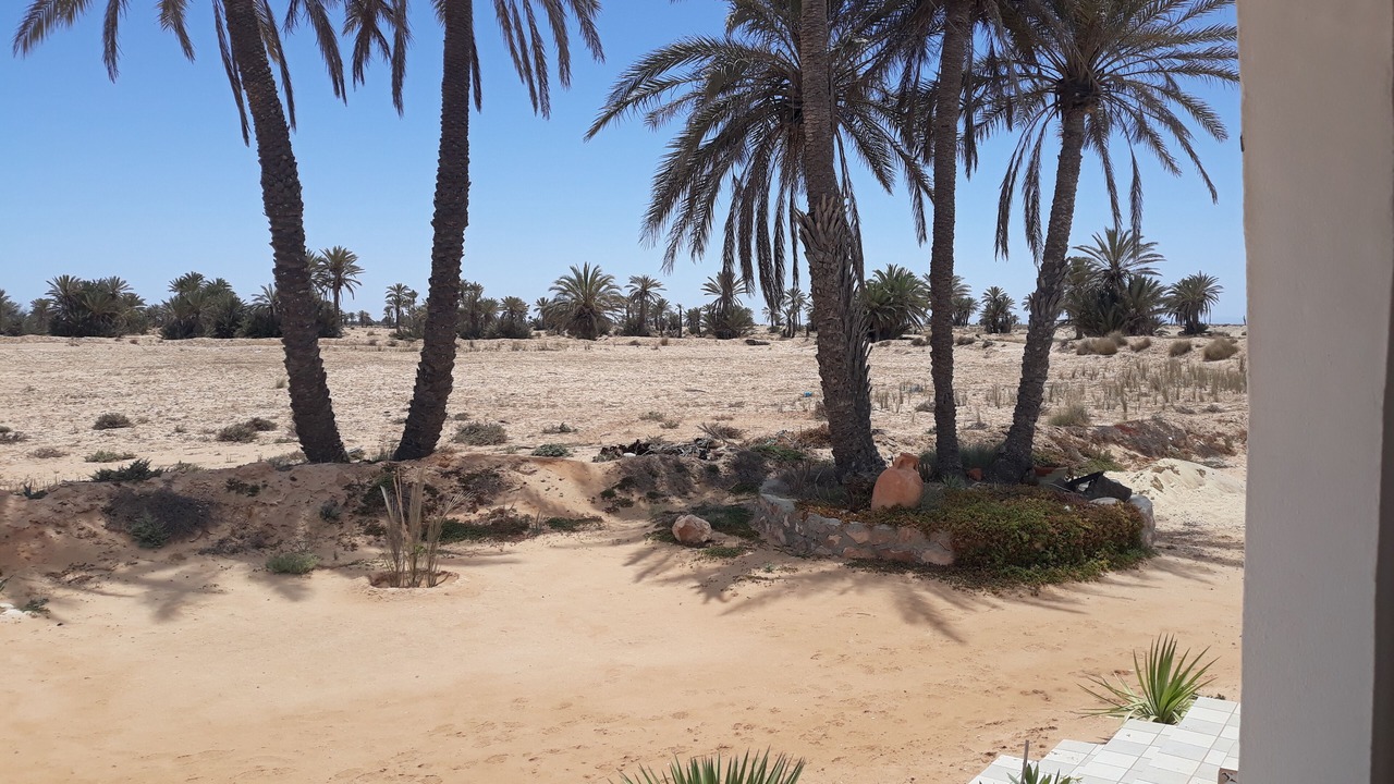 Photo of Bedroom in Djerba Ajim