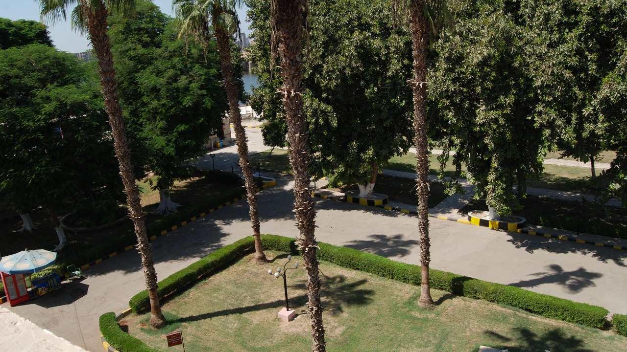 Photo of Others in Assiut