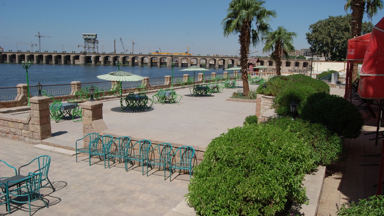 Photo of Others in Assiut