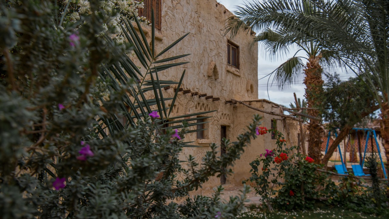 Photo of Outdoor in Tunis Village
