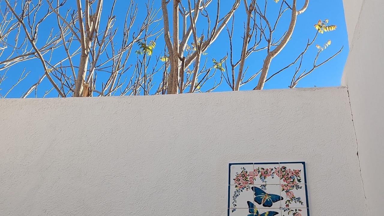 Photo of Outdoor in Medina de Sousse
