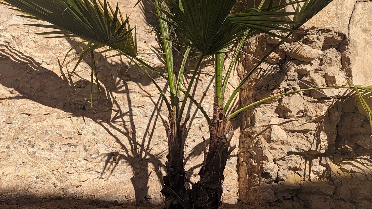Photo of Outdoor in Medina de Sousse