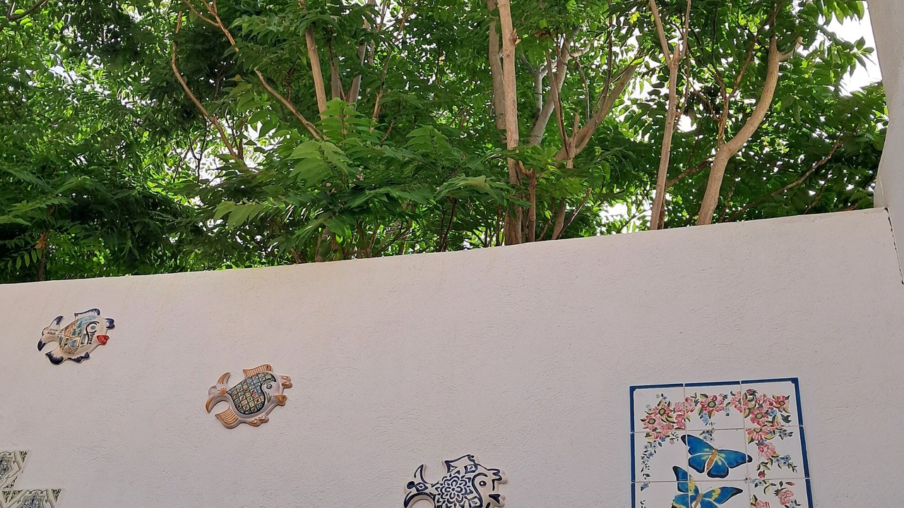 Photo of Outdoor in Medina de Sousse