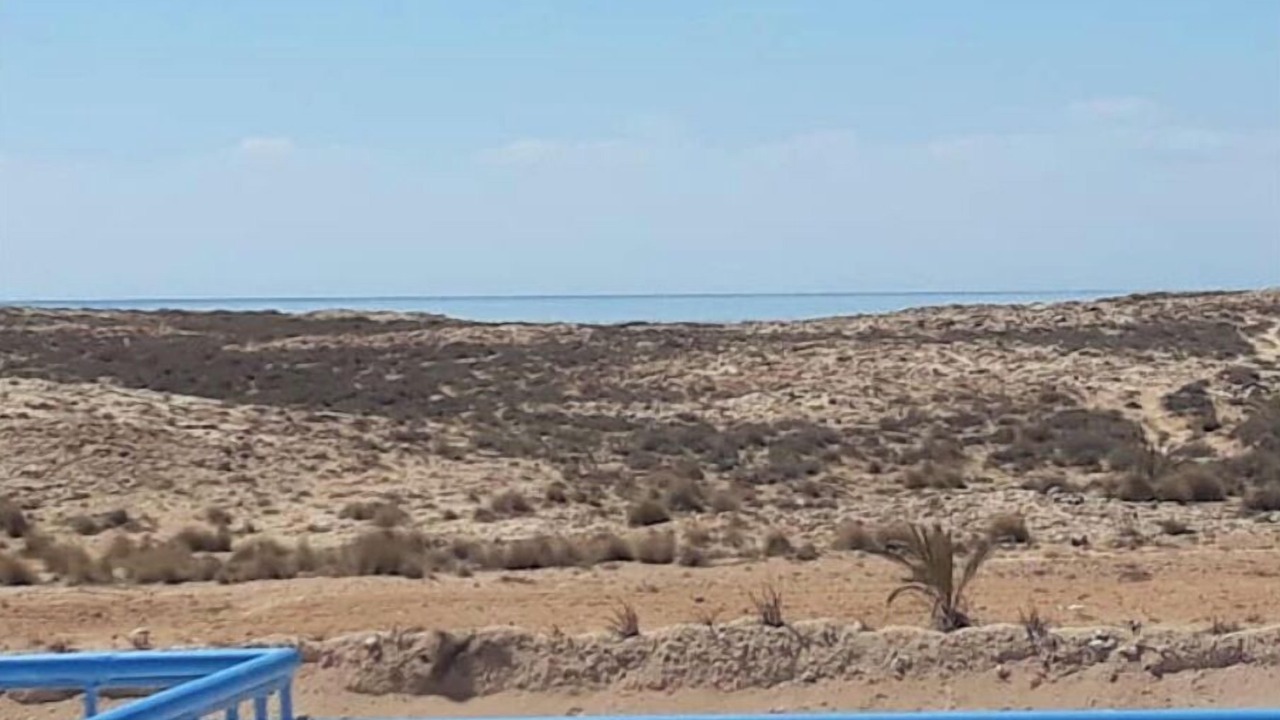 Photo of Others in Djerba Ajim