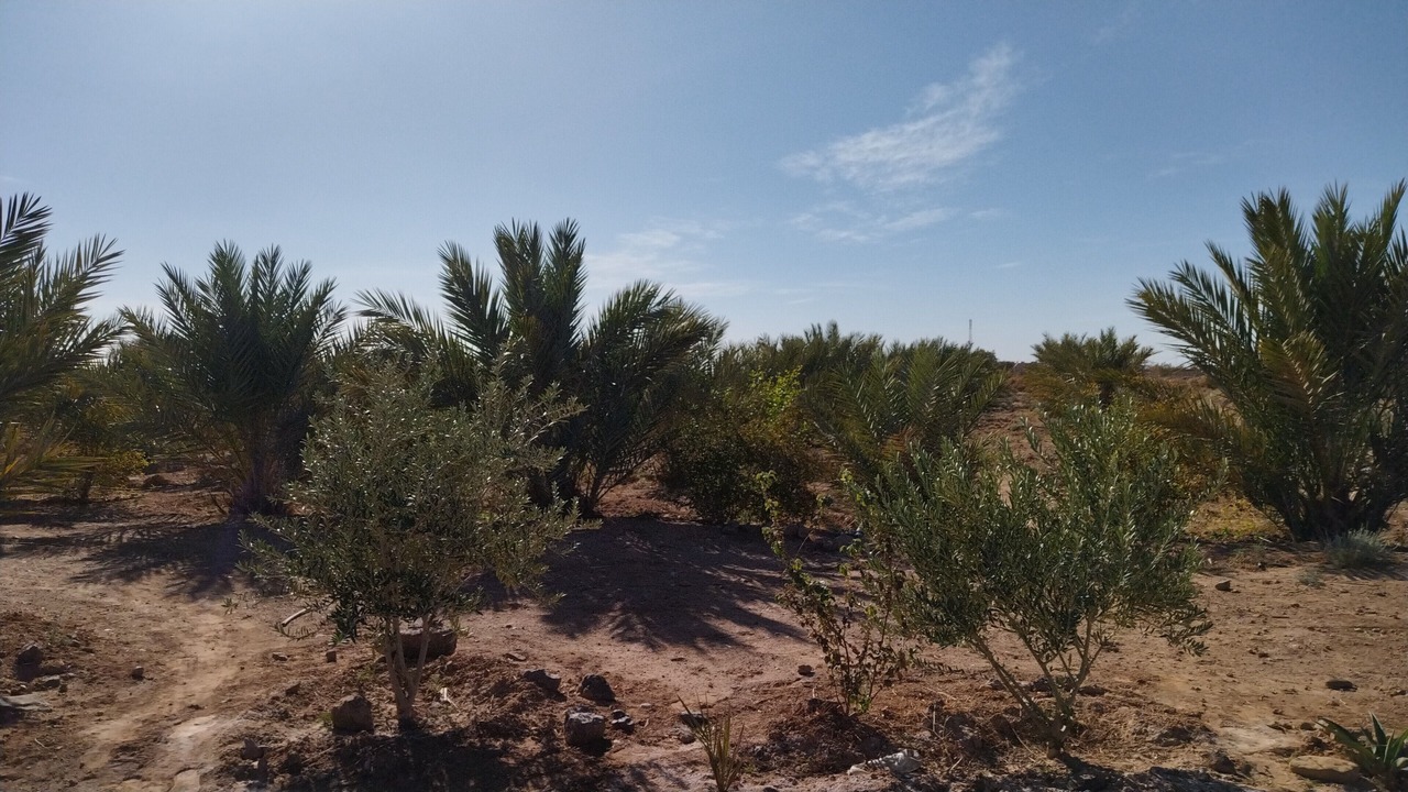 Photo of Outdoor in Rissani