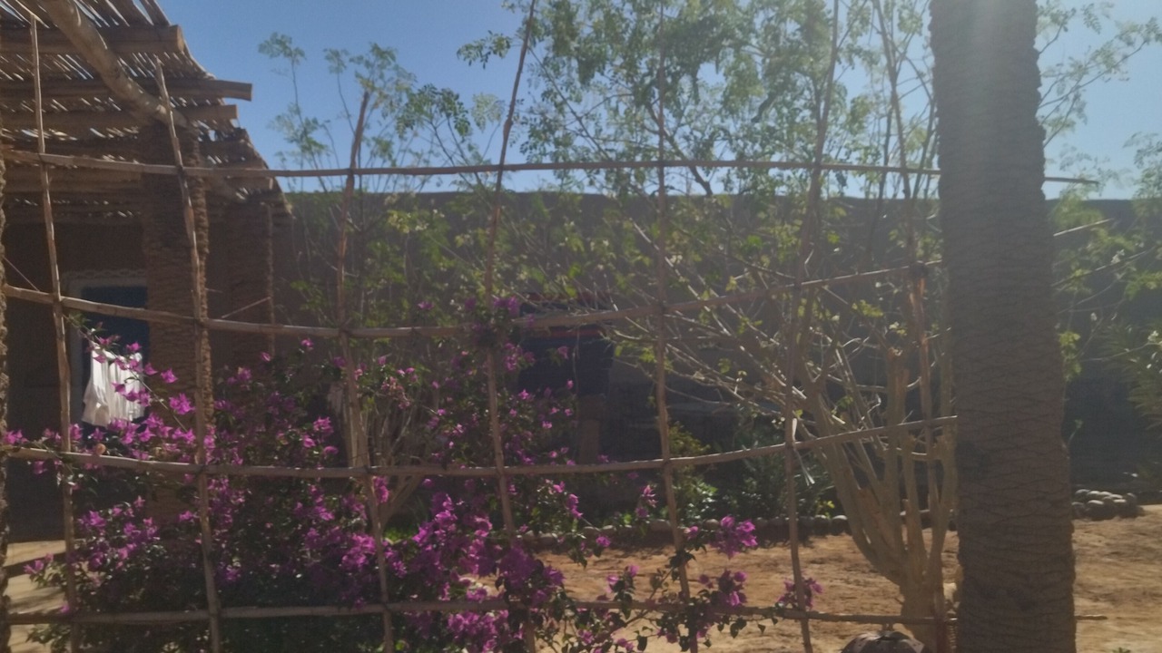 Photo of Outdoor in Rissani
