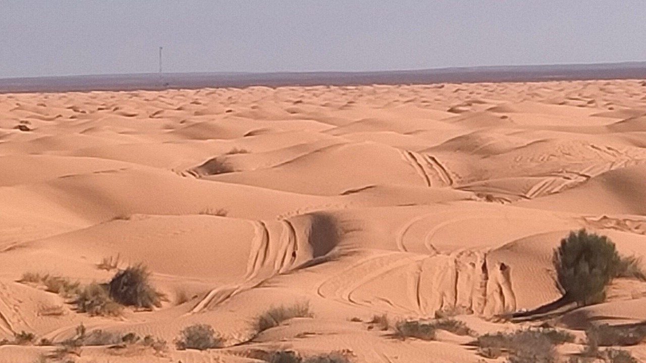 Photo of Others in Hawmat al Badawiyin